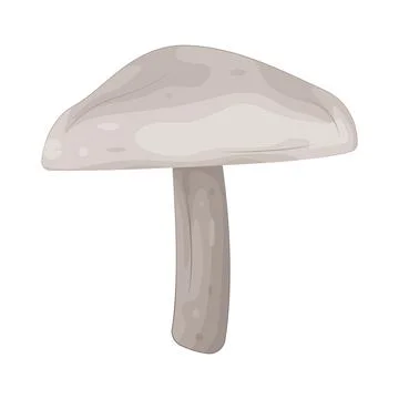 Illustration of Mushroom Stock Illustration