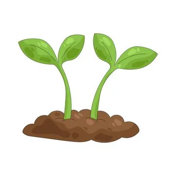 Illustration of Mutual growth Stock Illustration