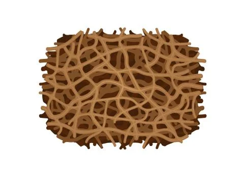 Illustration of nest termite texture close up isolated on white background, c Ilustración de archivo