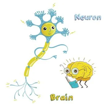 Illustration of neuron and brain Stock Illustration