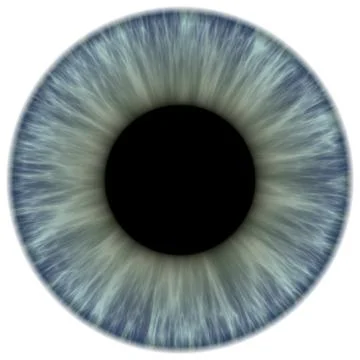 An illustration of a nice iris texture Stock Photos