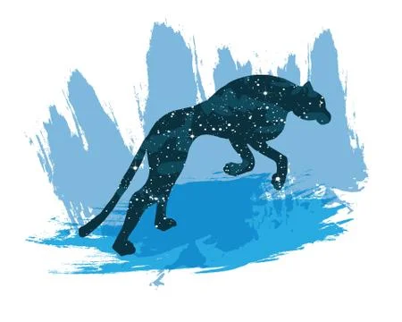Illustration of a night sky leopard. Vector print isolated on white background Stockillustratie