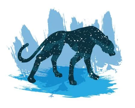 Illustration of a night sky leopard. Vector print isolated on white background Иллюстрация