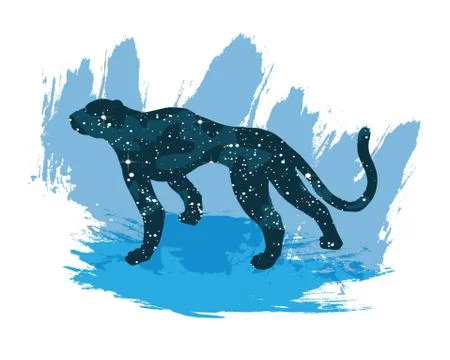 Illustration of a night sky leopard. Vector print isolated on white background Иллюстрация