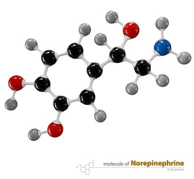 Illustration of Norepinephrine Molecule isolated white backgroun Stock Illustration