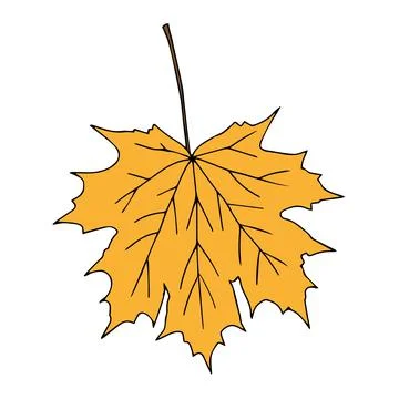 Illustration of one orange maple leaf isolated on a white background Stock Illustration