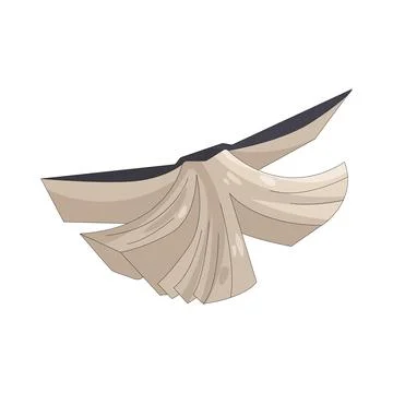 Illustration of open book Stock-Illustration