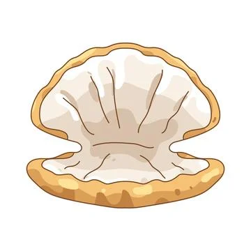 Illustration of open clam shell Stock Illustration