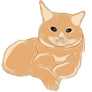 Illustration or vector of an orange cat lying looking forward. Stock Illustration
