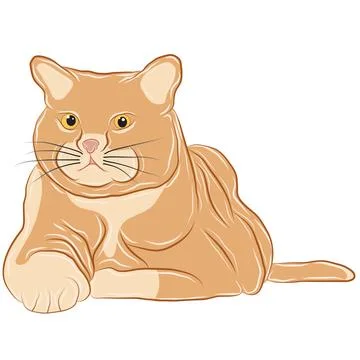 Illustration or vector of an orange cat showing a sleeping posture and looking s Stock Illustration