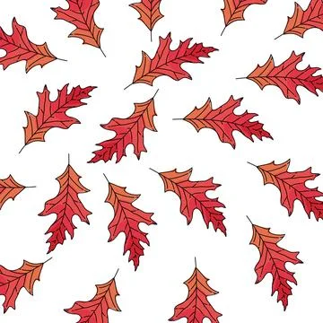 Illustration of orange and red maple leaf pattern during autumn scattered on a w Stock Illustration