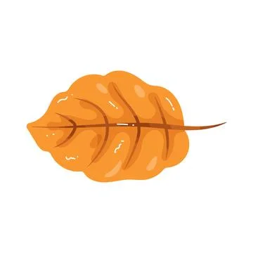 Illustration of orange beech leaf Stock Illustration