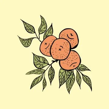 Illustration of an orange with branches Stock Illustration