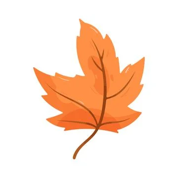 Illustration of orange fall maple leaf イラスト素材