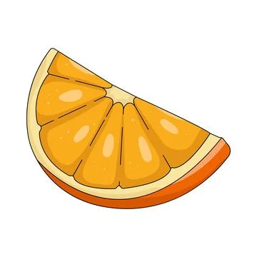 Illustration of Orange slice イラスト素材