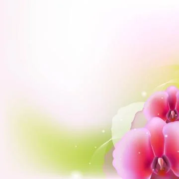 Illustration with orchid Stock Illustration