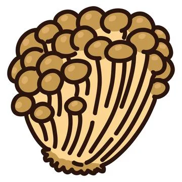 Illustration of outlined enoki mushroom Stock Illustration