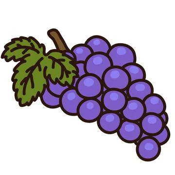 Illustration of outlined grapes with leaf Illustrazione stock