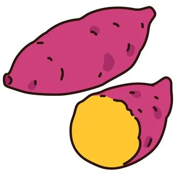 Illustration of outlined sweet potatoes Stock Illustration