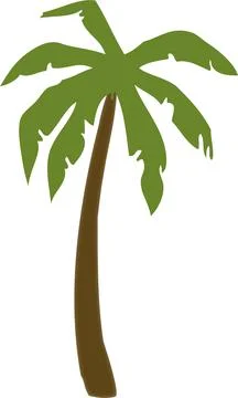 Illustration of a palm tree Stock Illustration