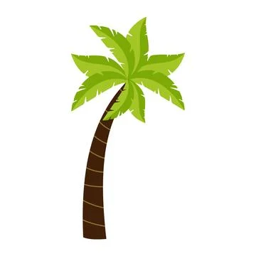 Illustration of a Palm Tree Stock Illustration