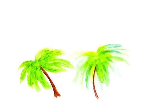 Illustration of palm trees. Two palm trees on white background. Stock Illustration