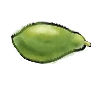 Illustration of papaya Stock Illustration