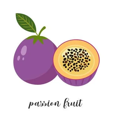 Illustration of passion fruit Stock Illustration
