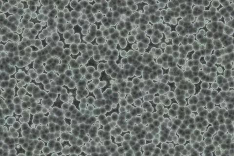 Illustration of a pattern with green particles in white outlines Stock Illustration