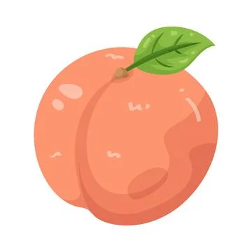 Illustration of peach Illustration