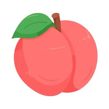 Illustration of peach Illustration