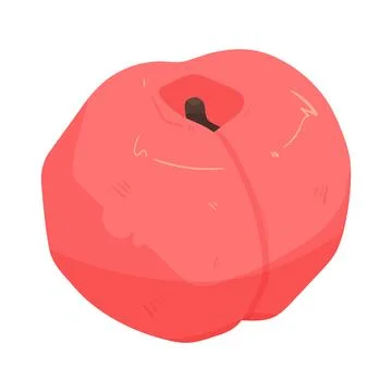 Illustration of peach Illustration