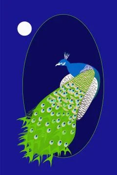 Illustration of a peacock Stock Illustration