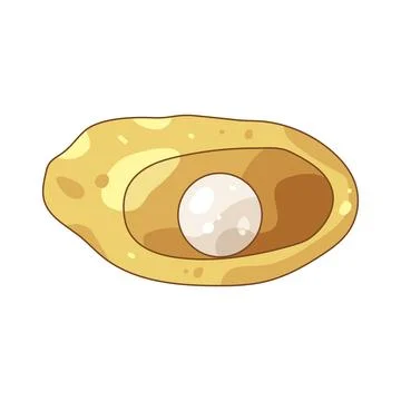Illustration of pearl shell Stock Illustration