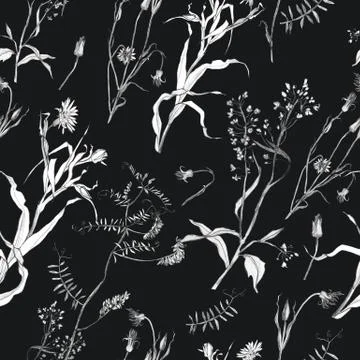 Illustration, pencil. A pattern of leaves and branches of plants, birds. Free Stock Illustration