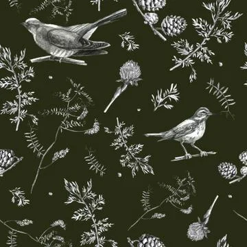 Illustration, pencil. A pattern of leaves and branches of plants, birds. Free Stock Illustration