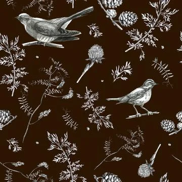 Illustration, pencil. A pattern of leaves and branches of plants, birds. Free Stock Illustration