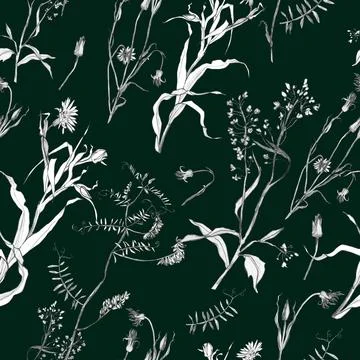 Illustration, pencil. A pattern of leaves and branches of plants, birds. Free Stock Illustration