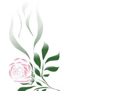 Illustration of a peony on a white background Stock Illustration
