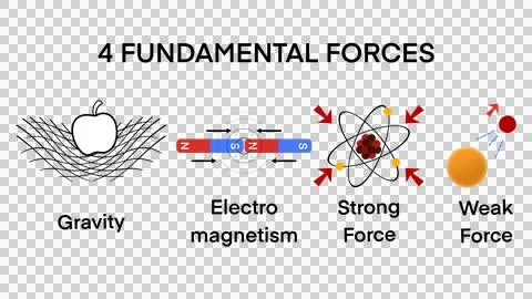 Illustration of physics, fundamental force, four fundamental interactions Stock Illustration