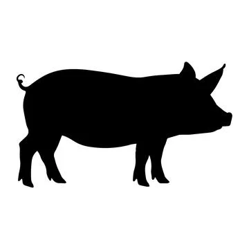 Illustration of a pig silhouette. Vector. Stock Illustration