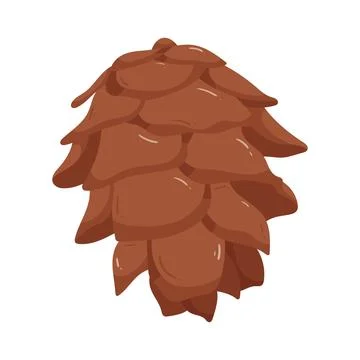 Illustration of pine cone Stock Illustration
