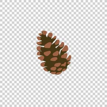 Illustration of a pine cone isolated Stock Illustration