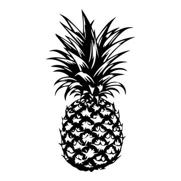 Illustration of pineapple in black and white style. Stock Illustration