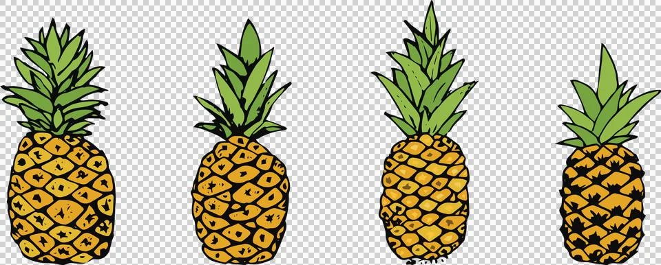 Illustration of pineapple fruit Stock Illustration