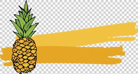 Illustration of pineapple fruit Stock Illustration