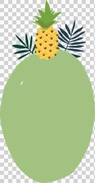 Illustration of pineapple fruit Stock Illustration