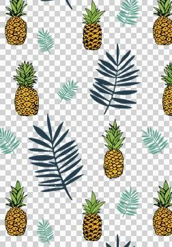 Illustration of pineapple fruit Stock Illustration