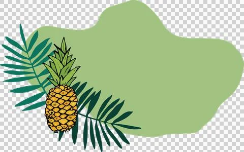 Illustration of pineapple fruit 스톡 일러스트