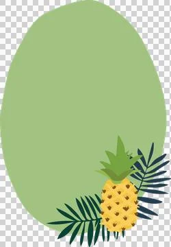 Illustration of pineapple fruit Stock Illustration